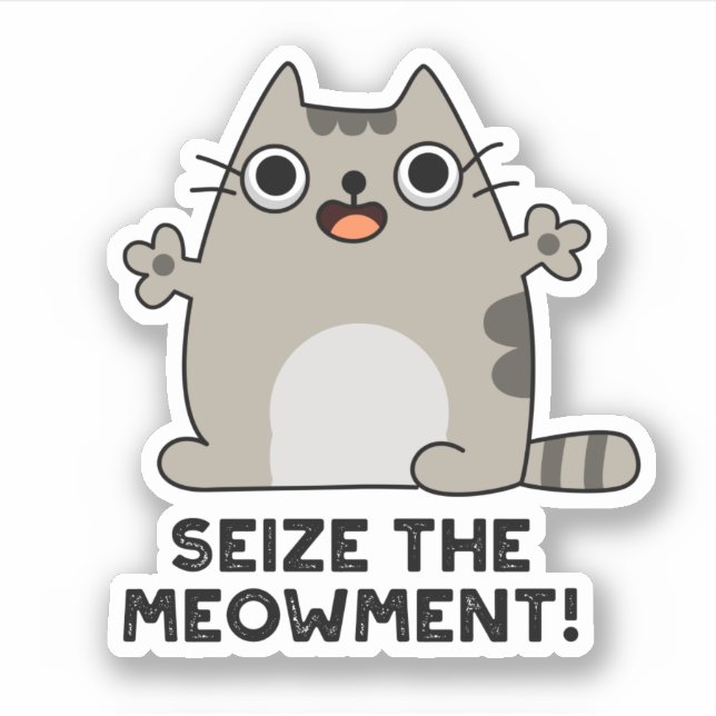 Seize The Meow-ment Positive Cat Pun  Sticker (Front)