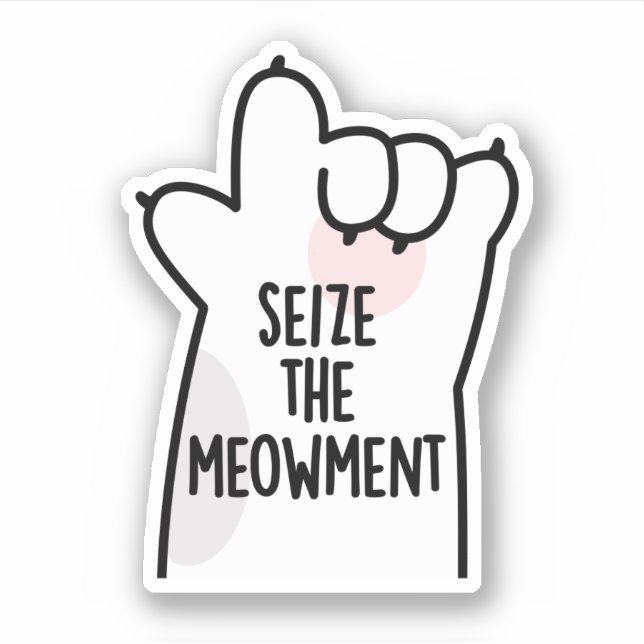 Seize The Meowment Positive Cat Pun Sticker (Front)