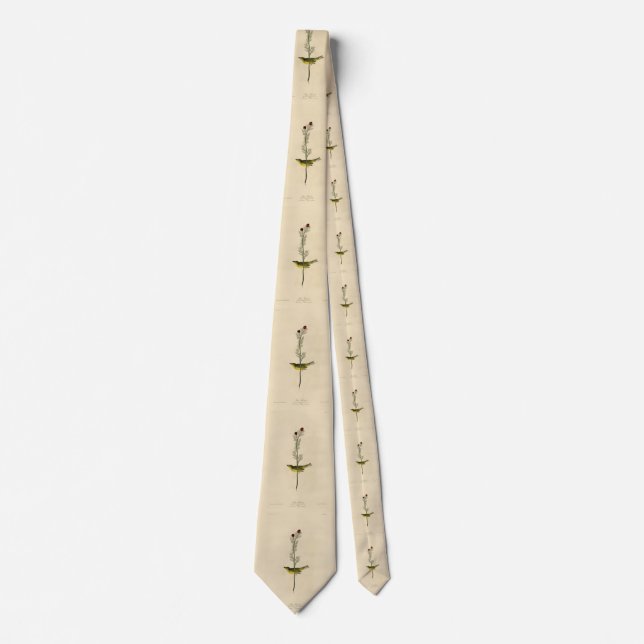 Selby's Fly catcher - Audubon's Birds of America Neck Tie (Front)