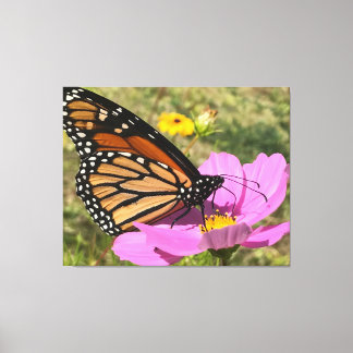 Selden Butterfly 2025 Canvas Print