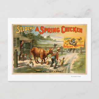 Selden's Funny Farce, A Spring Chicken Play Postcard