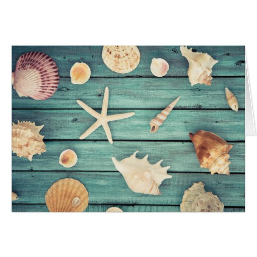 Selection Of Seashells Cards (Front Horizontal)