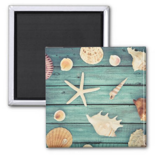 Selection Of Seashells Magnet