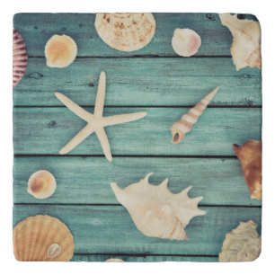 Selection Of Seashells Trivet