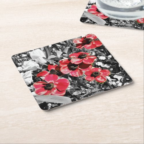 Selective Beauty _ Anemone Blossoms Paper Coasters
