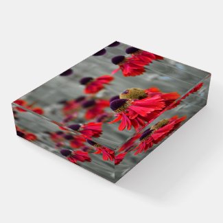 Selective Color - Desaturated Red Helenium