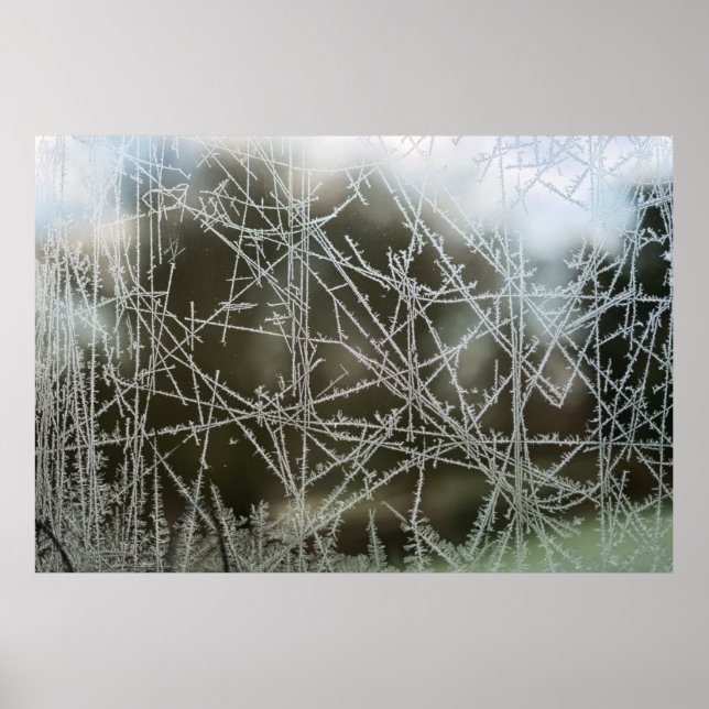 Selective focus of snowflakes poster (Front)