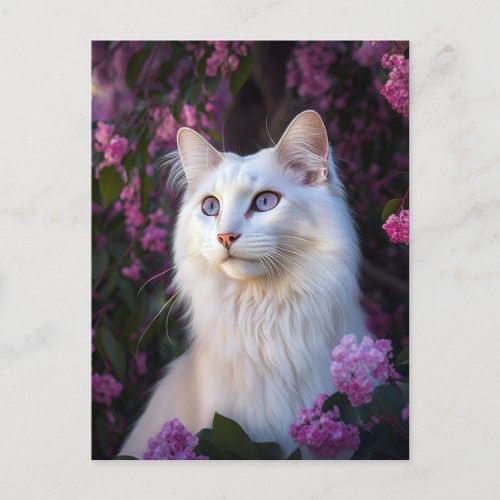Selene the Turkish Angora Cat Postcard