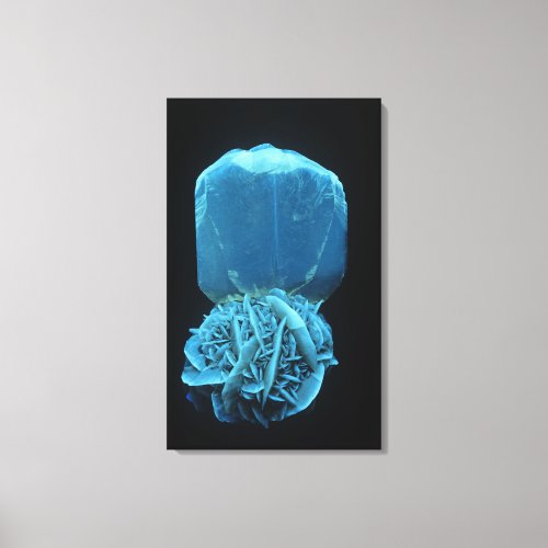 Selenite form of Gypsum a fluorescent mineral pho Canvas Print