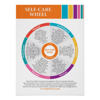 Self Care Wheel in Color! Glossy Poster