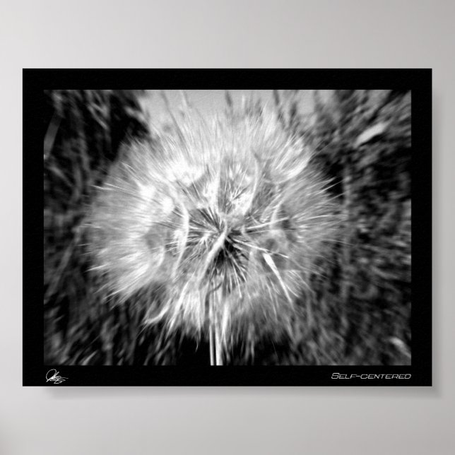 Self-Centered Poster (Front)