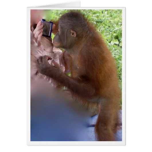 Self Confidence and Pride (Front)