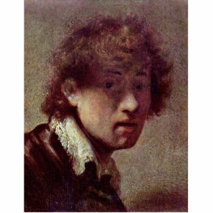 Self Portrait At An Early Age. By Rembrandt Van Cutout