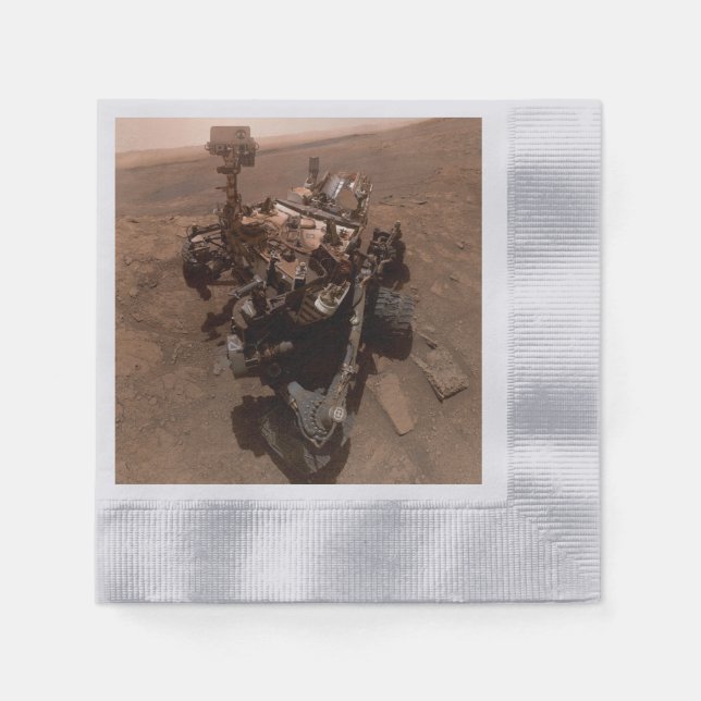 Selfie of Mars Curiosity Red Martian Landscape Napkins (Front)