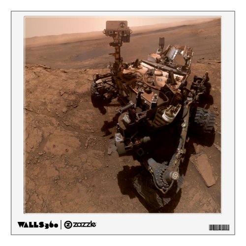 Selfie of Mars Curiosity Red Martian Landscape Wall Decal
