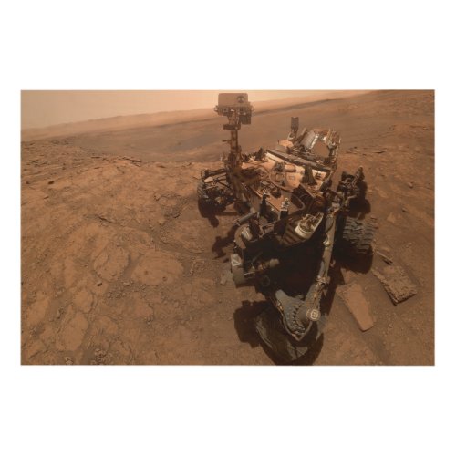 Selfie of Mars Curiosity Red Martian Landscape Wood Wall Art