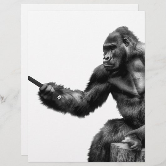 selfie stick (Front/Back)