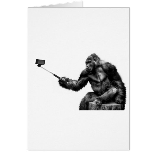 selfie stick cards (Front)