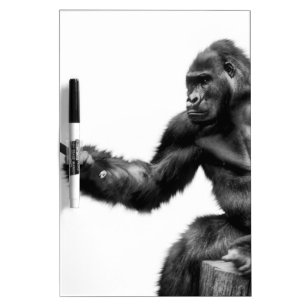 selfie stick dry erase board