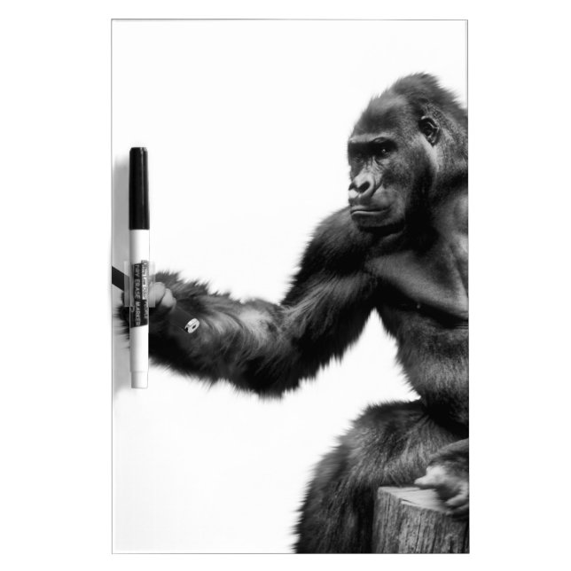 selfie stick dry erase board (Front)