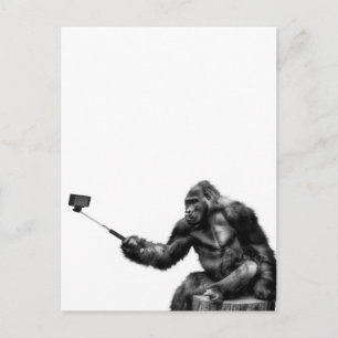 selfie stick postcard