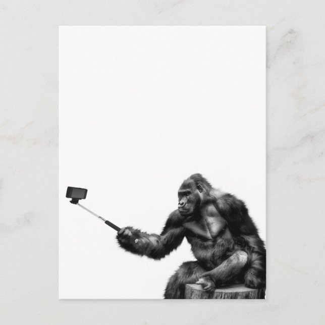selfie stick postcard (Front)