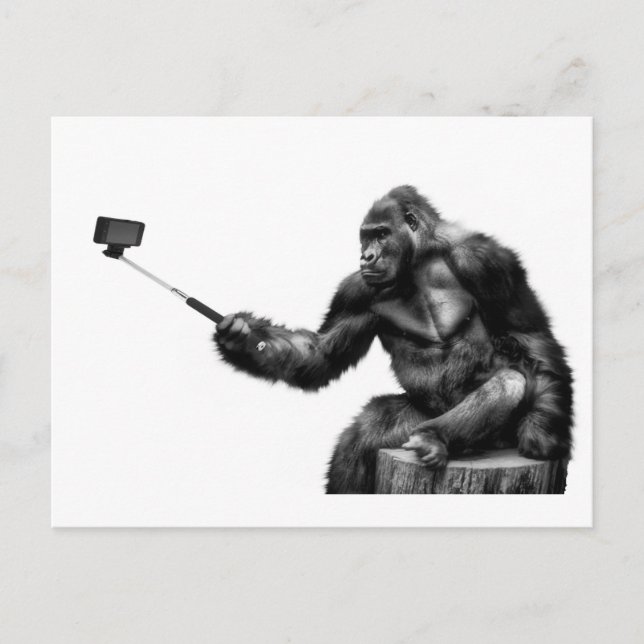 selfie stick postcard (Front)