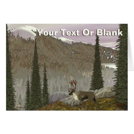 Selkirk Caribou Cards (Front Horizontal)