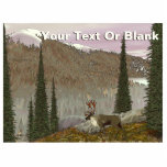 Selkirk Caribou Statuette<br><div class="desc">A cloudy spring day finds a woodland caribou (Rangifer tarandus) in the mountainous, conifer terrain typical of that found in the mountains of southern British Columbia, northern Idaho and northeast Washington where a tiny population of these animals survive. Add your own text. Known as the International Selkirk population, there are...</div>