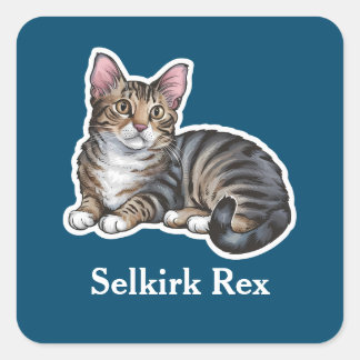 Selkirk Rex Square Sticker