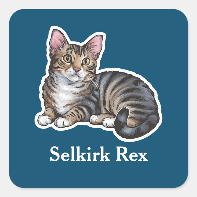 Selkirk Rex Square Sticker (Front)