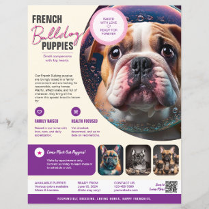 Sell Puppies Flyer