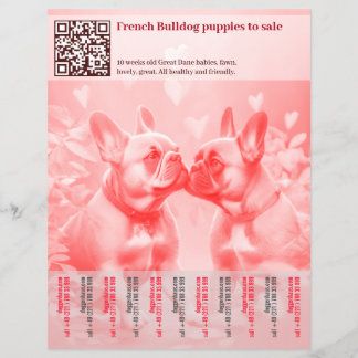 Selling Frenchie Puppies Design Flyer
