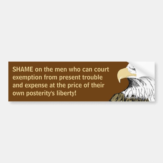 Selling Posterity's Liberty Bumper Sticker (Front)