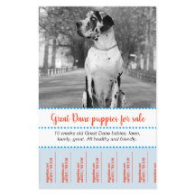 Selling Puppies Flyer