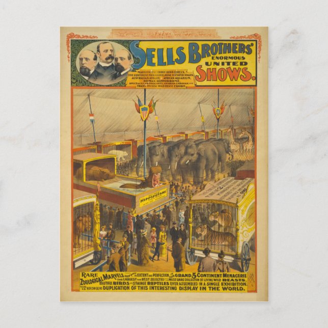 Sells Brothers Zoological Marvels Circus Poster Postcard (Front)