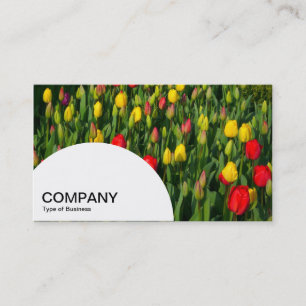 Semi-circle Panel - Colorful Tulips Business Card