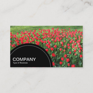 Semi-circle Panel (dots) - Bed of Red Tulips 01 Business Card