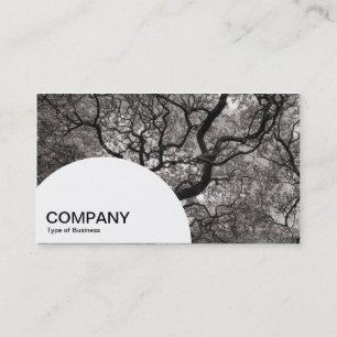Semi-circle Panel - Magnolia Tree Business Card