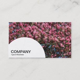 Semi-circle Panel - Pink Cherry Blossom Business Card