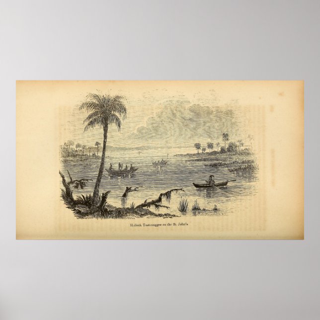 Seminoles on the St. Johns River Poster (Front)