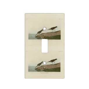 Semipalmated Sandpiper, Audubon's Birds of America Light Switch Cover