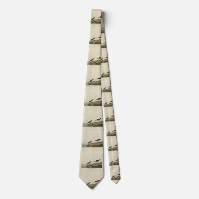 Semipalmated Sandpiper, Audubon's Birds of America Neck Tie (Front)