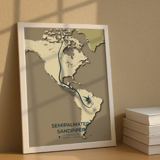 Semipalmated Sandpiper Migration Map – Minimalist  Poster