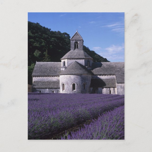 Senanque Abbey, Gordes, Vaucluse, Provence, 2 Postcard (Front)