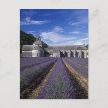 Senanque Abbey  Gordes  Vaucluse  Provence Postcard by takemeaway at Zazzle