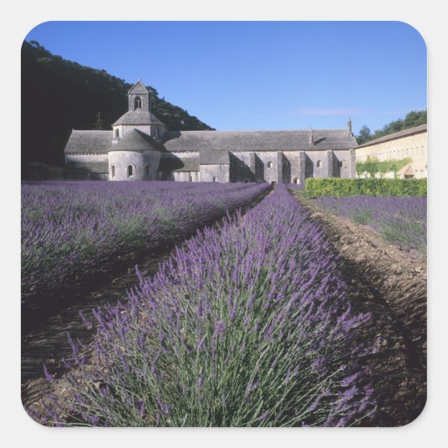 Senanque Abbey, Gordes, Vaucluse, Provence, Square Sticker (Front)