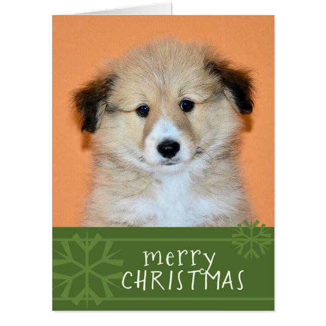Send a Giant Christmas Card | Add Your Photo (Front)