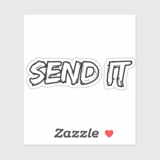 Send It Disc Golf Sticker