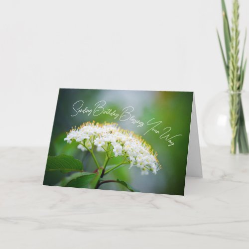 Sending Birthday Blessings Your Way White Flower  Card